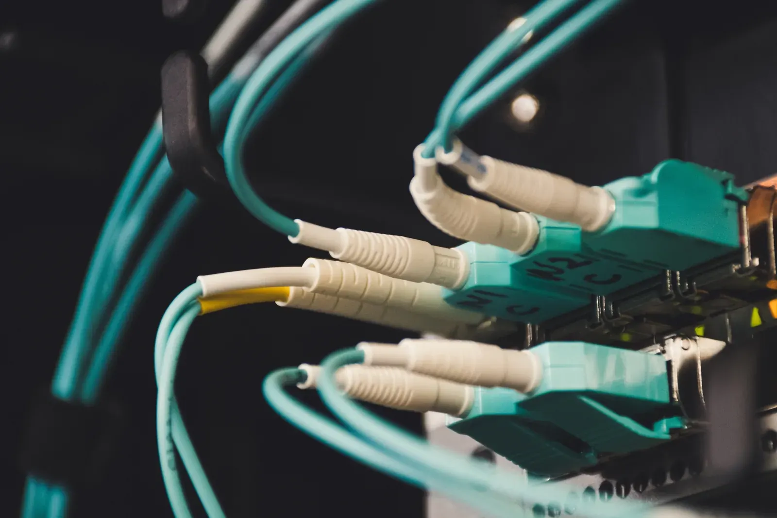 Câbles de fibre optique raccordés à un équipement réseau